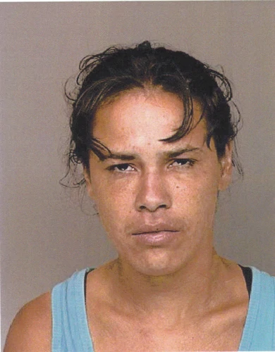Missing Person: Neilsa Gerena