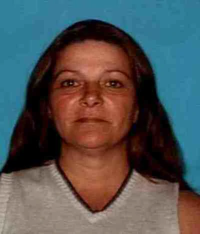 Missing Person: Lisa Lee Chandler